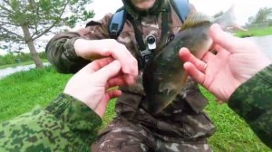 Мой первый Окунь под килограмм!!! Рыбалка на спиннинг 2018 | Платный водоем