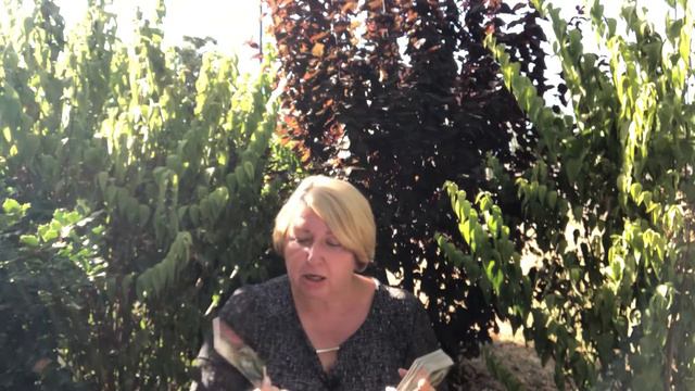 БЛИЗНЕЦЫ. С 3 - 15 АВГУСТА 2022! ОСНОВНЫЕ МОМЕНТЫ! ЧТО БУДЕТ? ТАРО - ПРОГНОЗ от AMILA PO смотреть онлайн