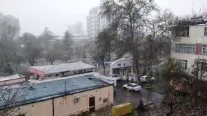 Сайфуллони излаб 28 - кисм/ Наврузда кор SAYFULLONI IZLAB 28 - QISM / NAVRO'ZDA QOR YOGDI