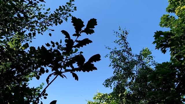 3 июля.ДЕНЬ МЕФОДИЯ.Что нельзя и что можно делать