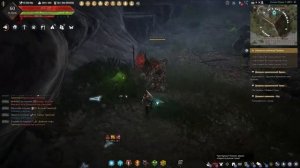 Black Desert Задание: Получить знания о древней дриаде