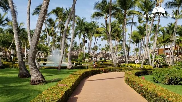 Отдых в Доминикане: обзор отеля в Доминикане Iberostar Punta Cana