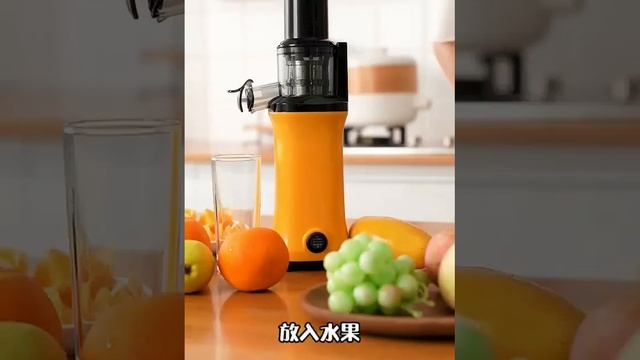 Mini juice extractor