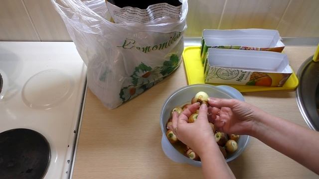 ЛУК на ПЕРО//ВЫРАЩИВАЕМ ЗЕЛЕНЫЙ ЛУК НА ПОДОКОННИКЕ смотреть онлайн