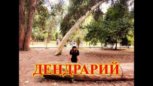 СОЧИ\АДЛЕР\ДЕНДРАРИЙ ЮЖНЫЕ КУЛЬТУРЫ В АДЛЕРЕ\ЗАВЕРШАЮЩАЯ ЧАСТЬ