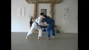 Требования на синий пояс БЖЖ. Броски