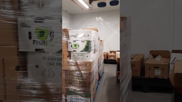 Обзор фреша 2 смотреть онлайн