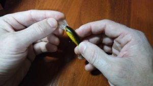 Видеообзор воблера Asakura Super Hornet DR-F по заказу Fmagazin