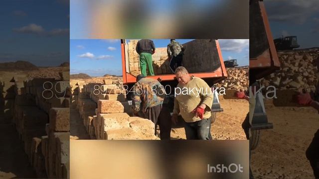 Добыча ракушечника смотреть онлайн