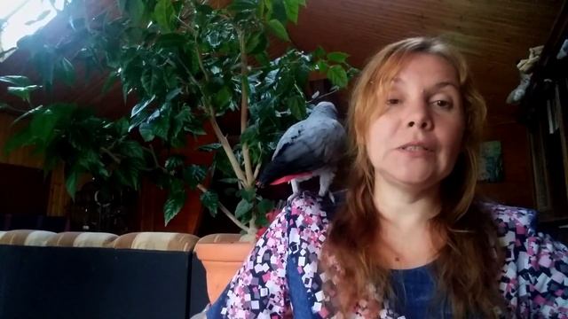 ПОПУГАИ ЖАКО | В ГОСТЯХ У ЯНЫ С ТОШЕЙ И КРОШЕЙ | ЧАСТЬ1
