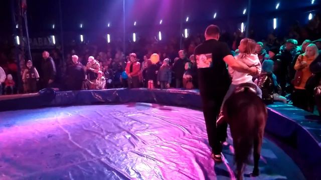 Соня на пони смотреть онлайн