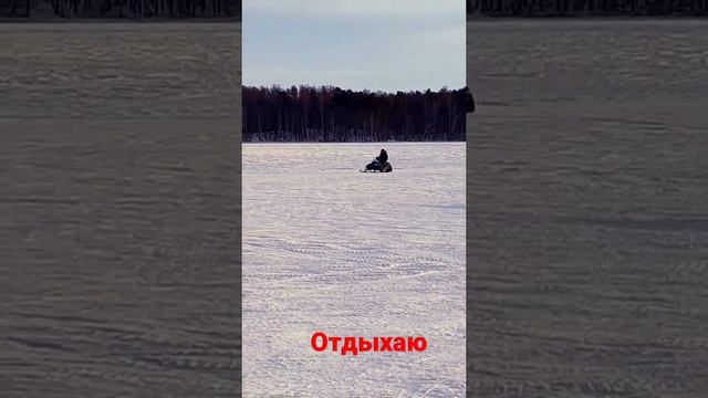 отдыхаю на еловом