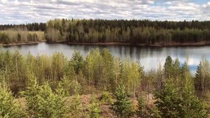 В тайге у перевала дятлова встретили медведя (п. Полуночный, Ивдель)