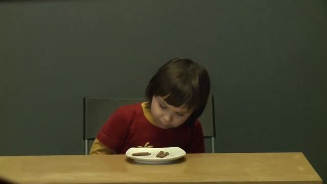 Зефирный эксперимент