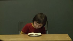 Зефирный эксперимент