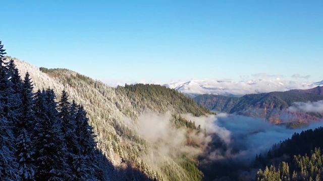 David Celeste - Christine / Relaxing Piano Music / Piano For Stress Relief / epidemic sound смотреть онлайн