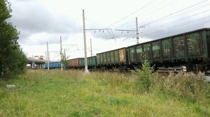 Маневровый тепловоз ТЭМ2М-132, ст. Предпортовая, г.Санкт-Петербург, 29.08.2020г.