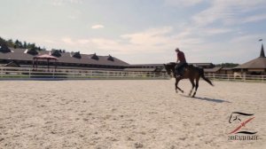 Конкур. Тренировка на плацу КСК Звёздный