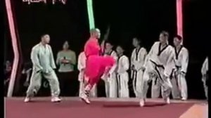 Шаолиньский монах против мастера тейквондо