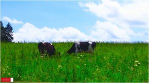 Лучшие песни Ричарда Клайдермана | Нежное бессловесное пианино - Полное эмоций