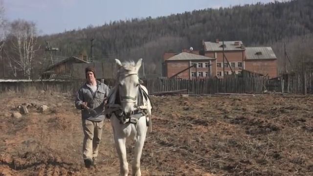 Бог создал фермера - Джастас Уолкер - Веселий Молочник смотреть онлайн