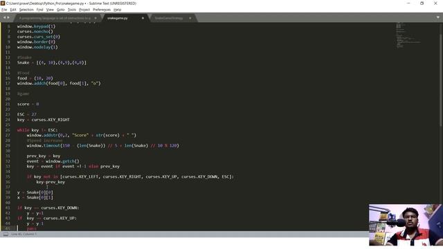 Developing a snake game with python programming language in telugu #pythontelugu #teluguprogramming