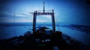 Промысел минтая ?. Охотское море 2018??