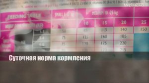 Обзор корма Brit Care Puppy Salmon and Potato