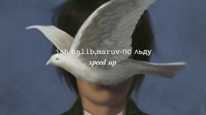 Jah halib,maruv-по льду (speed)