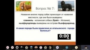 Что? Где? Когда? 3- 4 класс