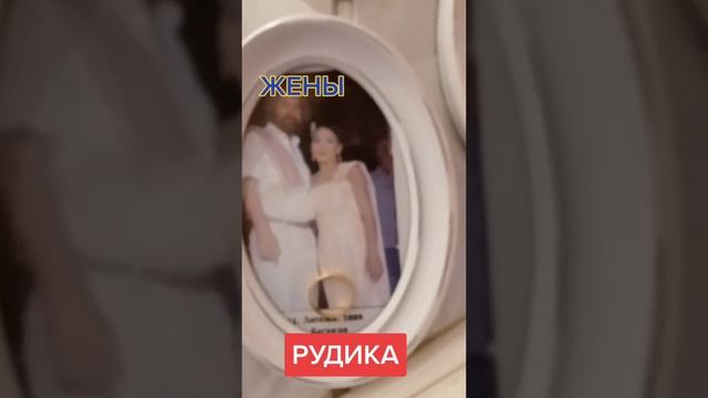 Жёны Рудика