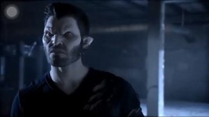 Волчонок Стая альф против  Стаи Дерека