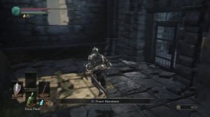 Dark Souls III Sellsword Armor Set And Twinblades Location Halfway Fortress