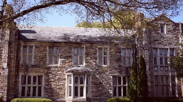 Playing Hedwig's Theme from Harry Potter in an Historic Cemetery смотреть онлайн