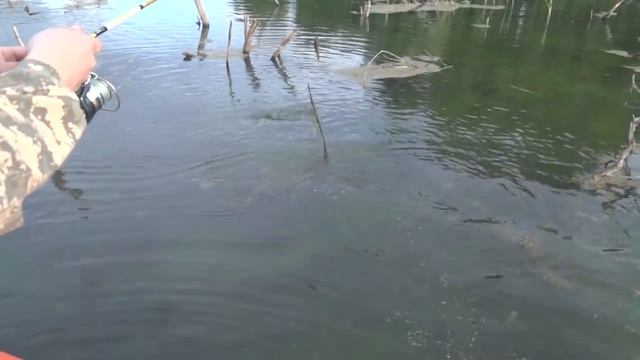 ЛЯГУШКА-НЕЗАЦЕПЛЯЙКА! Щука на поверхностные приманки. Спиннинг летом 2020 смотреть онлайн