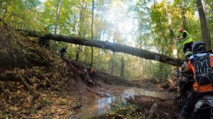 Косопузые Пронск Лайт YAMAHA WR250F 2022