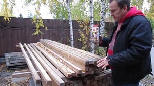 Защита пиломатериалов и бруса от жуков вредителей