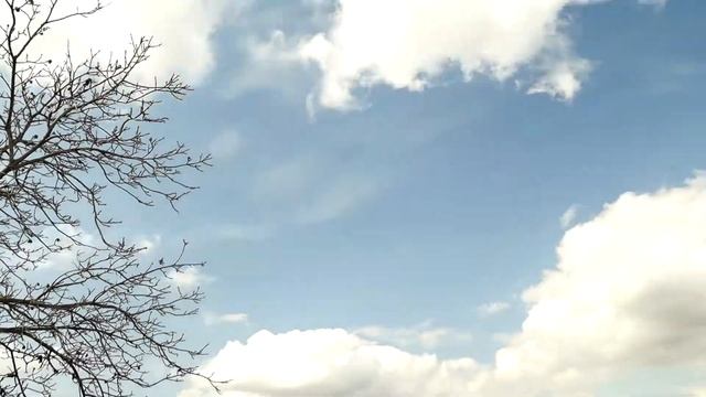 Spring mood смотреть онлайн