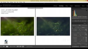 Photoshop Lightroom Tutorial: How to add Special Photo Filter (Nature)