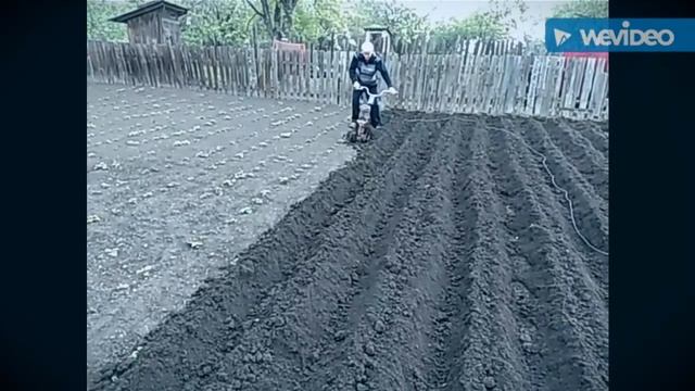 Самодельный культиватор в работе смотреть онлайн