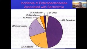 Enterobacteriaceae 3