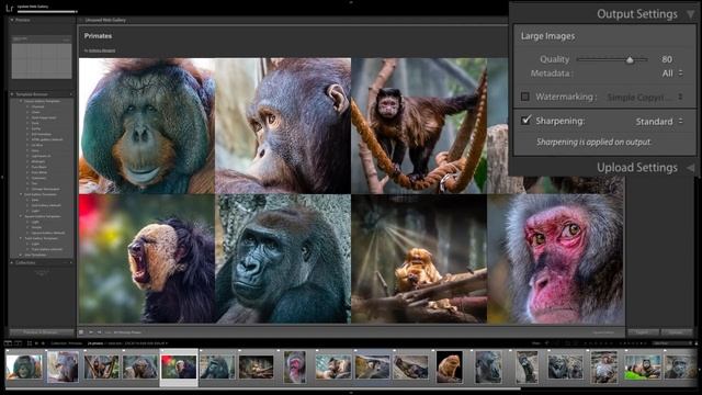 Mastering Lightroom Classic CC - 32: Web Module смотреть онлайн