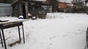 Выпал снег!