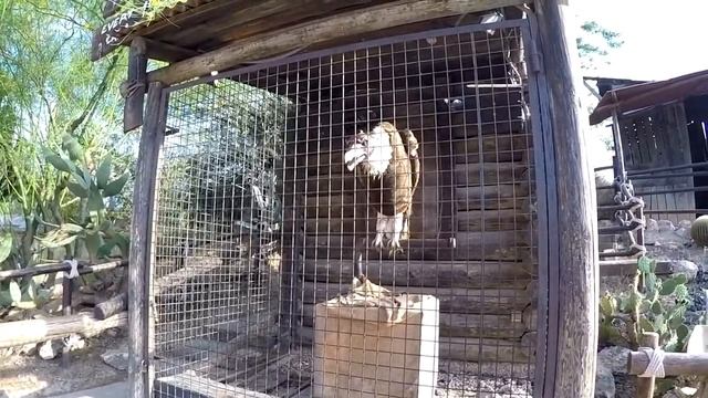 Порт Авентура.PortAventura World 16.07.2019 год-ч.12.