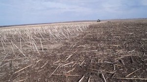 Борона пружинная "Мечта" и ХТЗ-150К