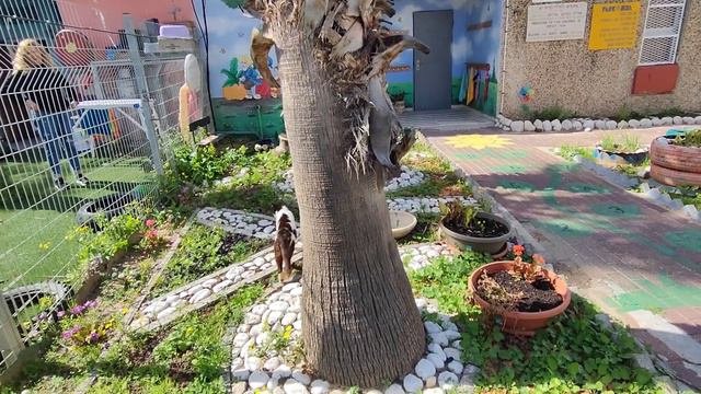 Как не потерять себя / Влог несмотря ни на что / рутина
