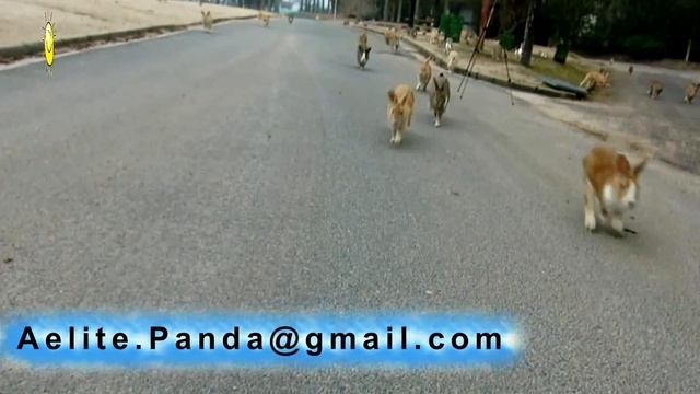 Горяшие туры в Таиланд Бронирование отдыха в Тайланде 2017 смотреть онлайн