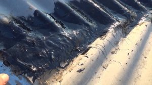 Дешовый утеплитель на крышу.