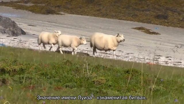 Значение имени Луиза. Толкование, судьба, характер смотреть онлайн