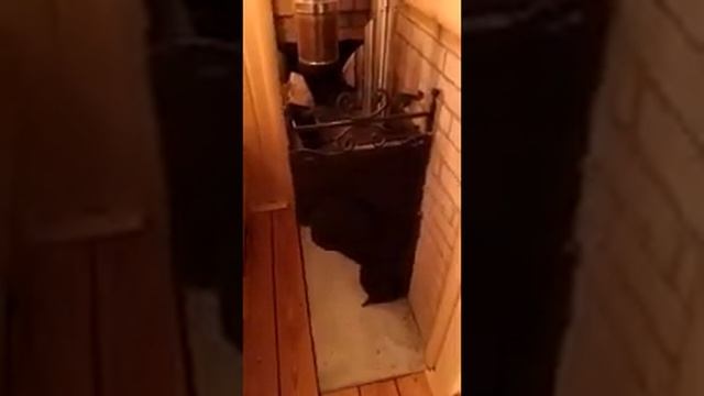Обзор Горыныч 3, дверь со стеклом большим, каменка закрытая